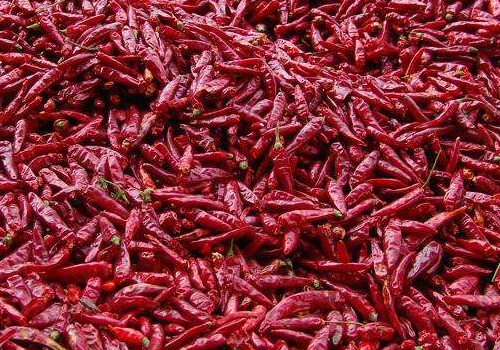 干辣椒怎么炸又香又脆 怎么做辣椒油